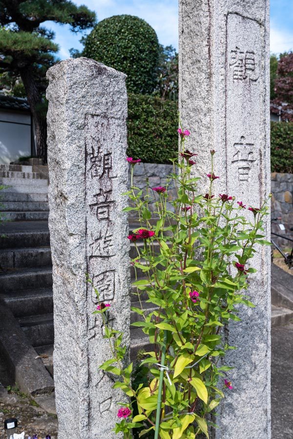 境内の桜