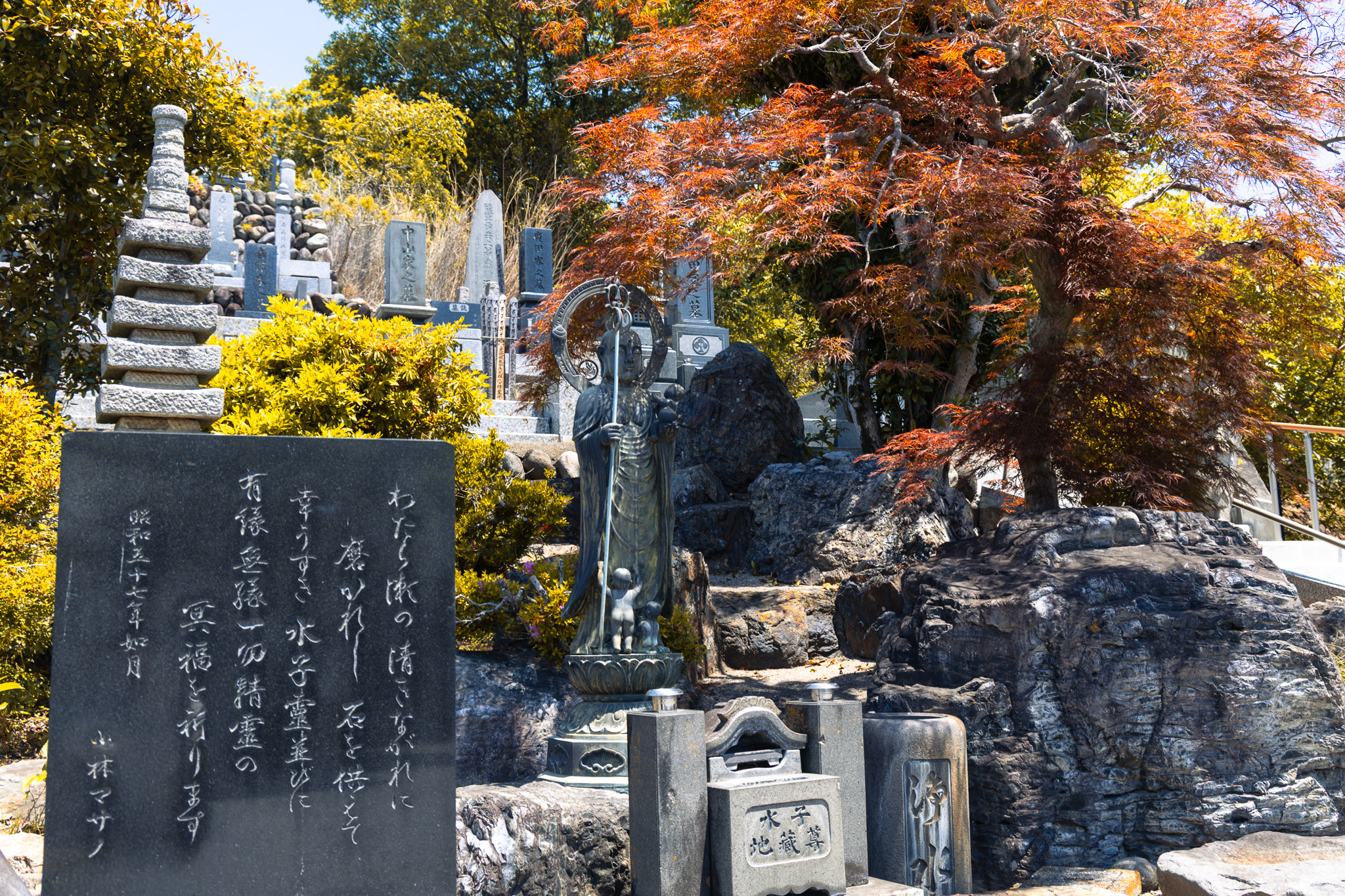 墓地全景